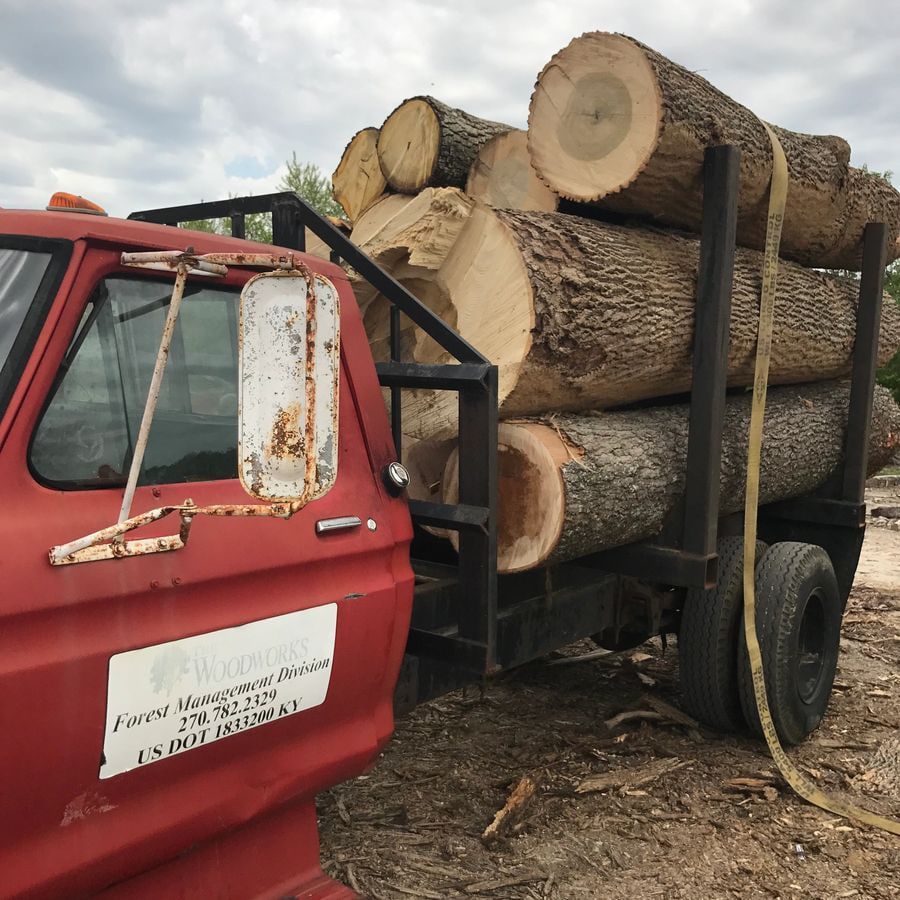 A truck loaded with hardwood logs at The Woodworks