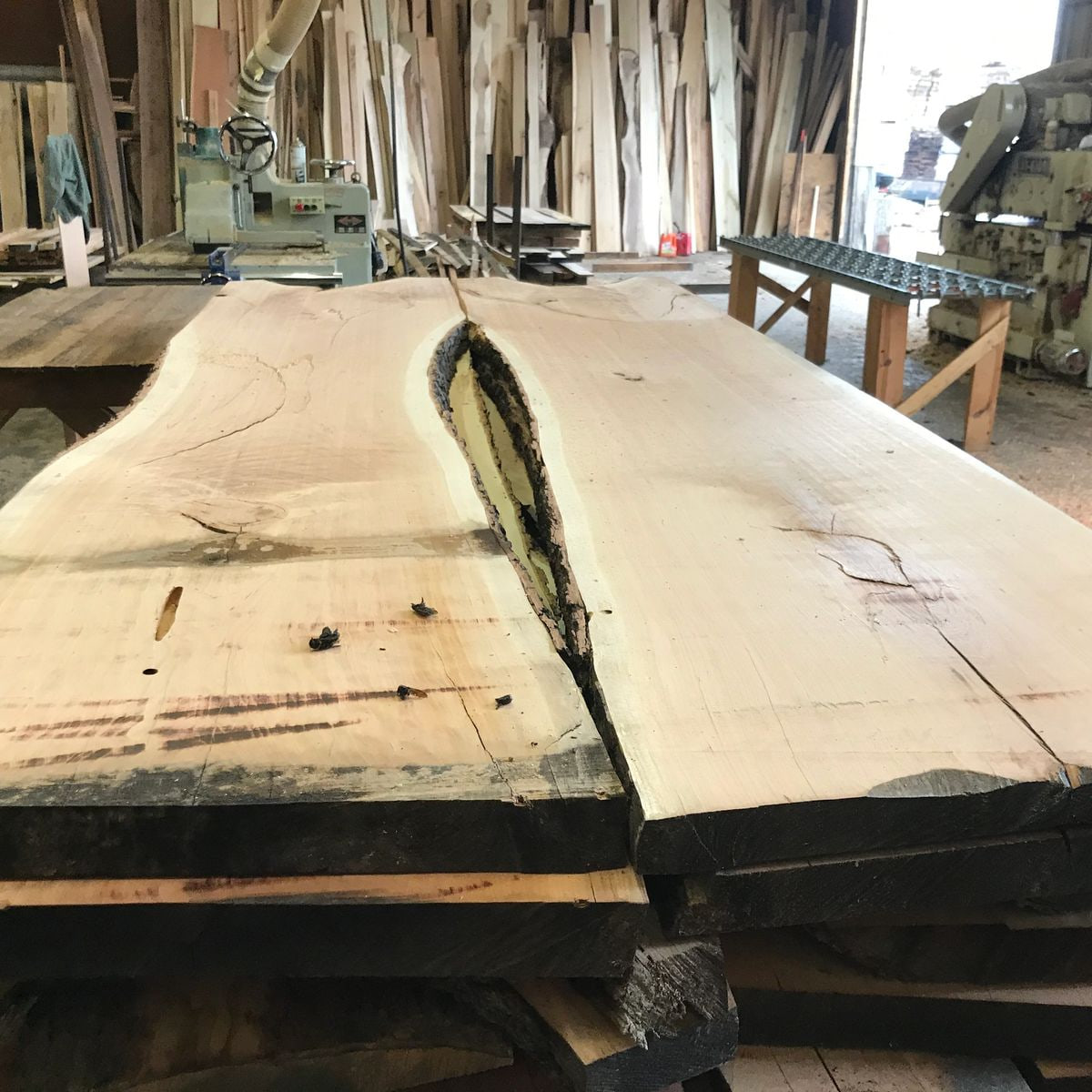 Wide live-edge hardwood slabs inside The Woodworks warehouse